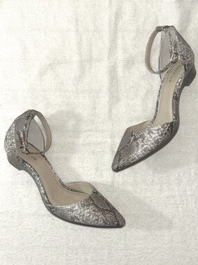 Pashion 1.0 Footwear Pointed Ankle-Strap Flats in Metallic Taupe Snake